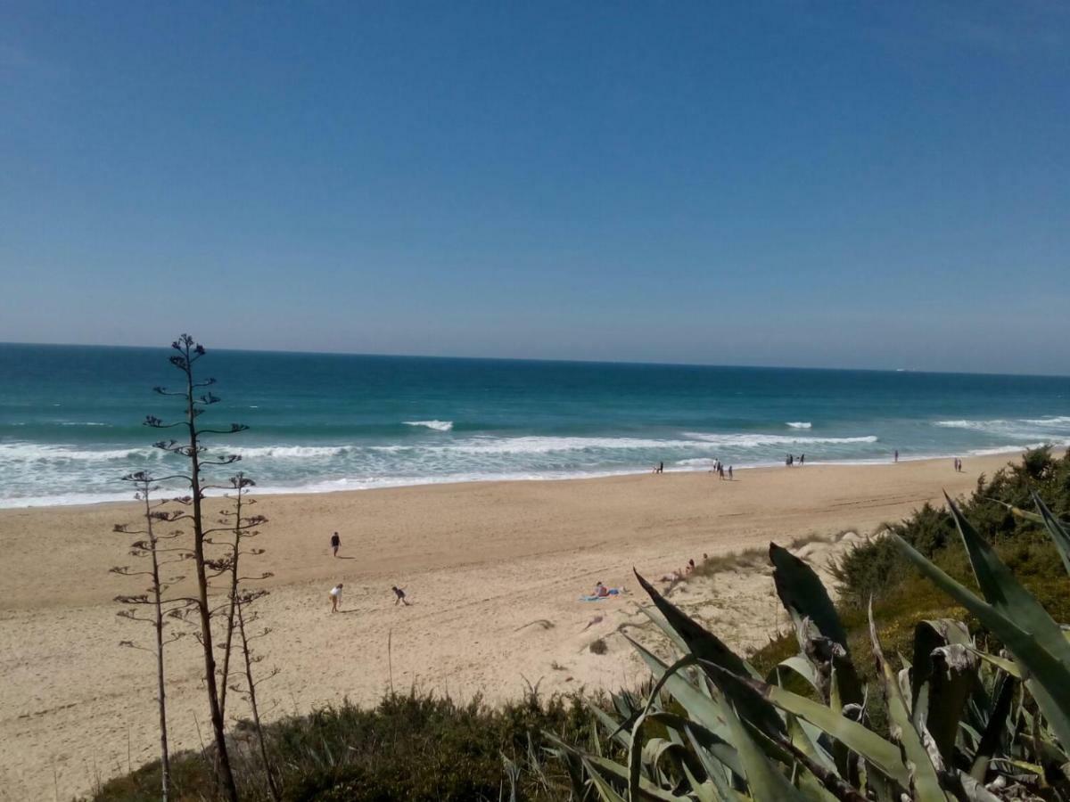 Casa "El Pinar" Villa Chiclana de la Frontera Eksteriør billede